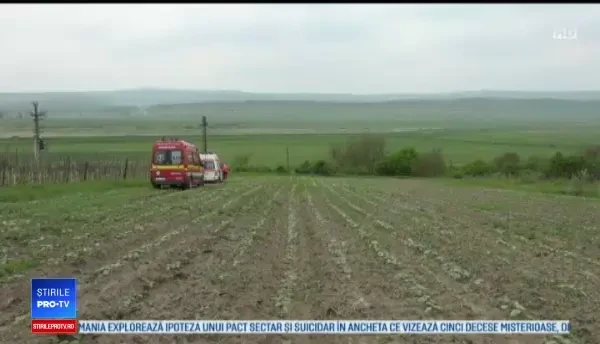 A murit după ce a fost înţepat de aproape o mie de albine. Planta care le-a făcut agresive