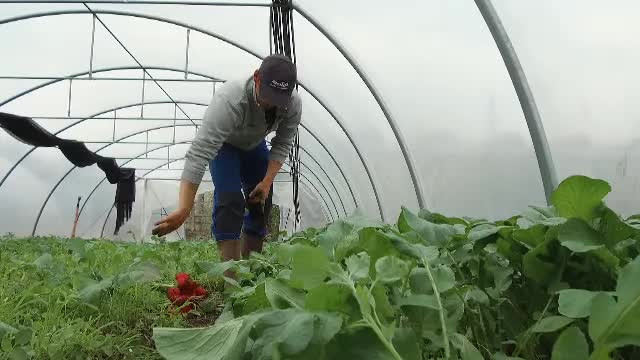 EU Yes la vot cooperative