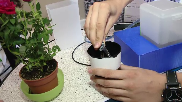 Cum ne ajută "Internetul lucrurilor", noua tehnologie care își face loc și în România