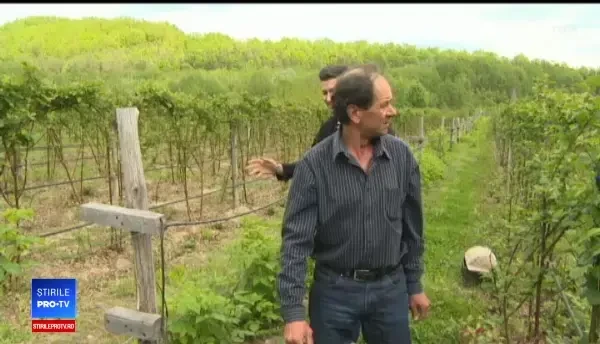 Domeniul de care tinerii români fug, deși le sunt promise salarii ca în Vest