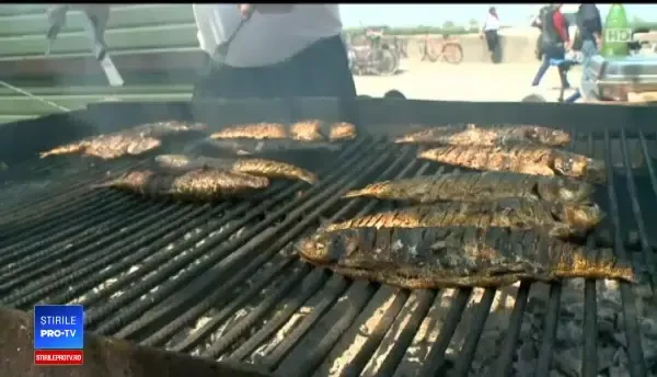 Românii au sărbătorit scrumbia albastră de Dunăre. Pofta a fost mai mare decât preţul