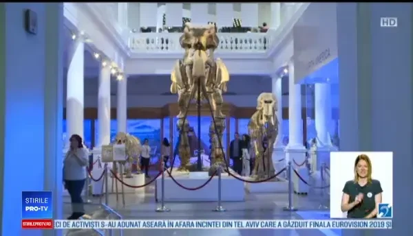 Locul unde oamenii au stat peste 4 ore la coadă, la Noaptea Muzeelor. "Nu e normal"