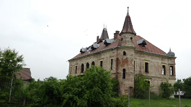 Castelele României, furate bucată cu bucată. Soluția găsită pentru salvarea lor