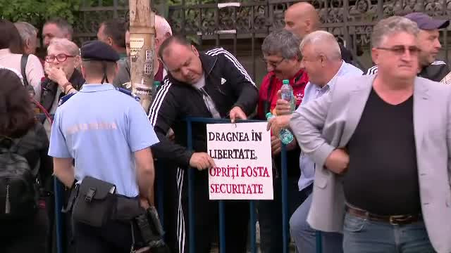 sustinatori, Liviu Dragnea