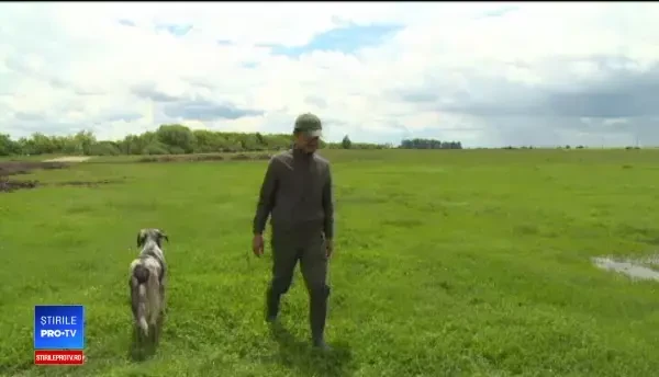 Cum să deosebim ciupercile comestibile de cele otrăvitoare. Sfaturile specialiștilor