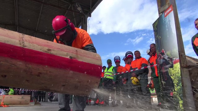 Luptă cu drujbele între 14 oameni, în Bacău. "Cum o vrea Dumnezeu"