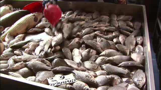 Alertă ANPC: 1.6 tone de pește stricat, retras de pe piață. Marfa era din import