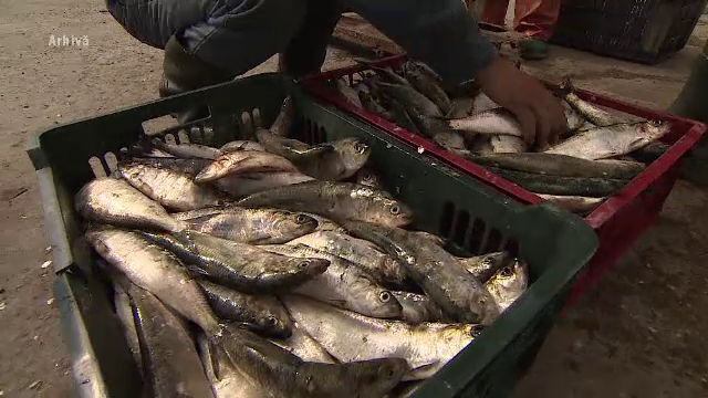 Alerta peștelui stricat. Strategia prin care este scos la vânzare, deși este alterat