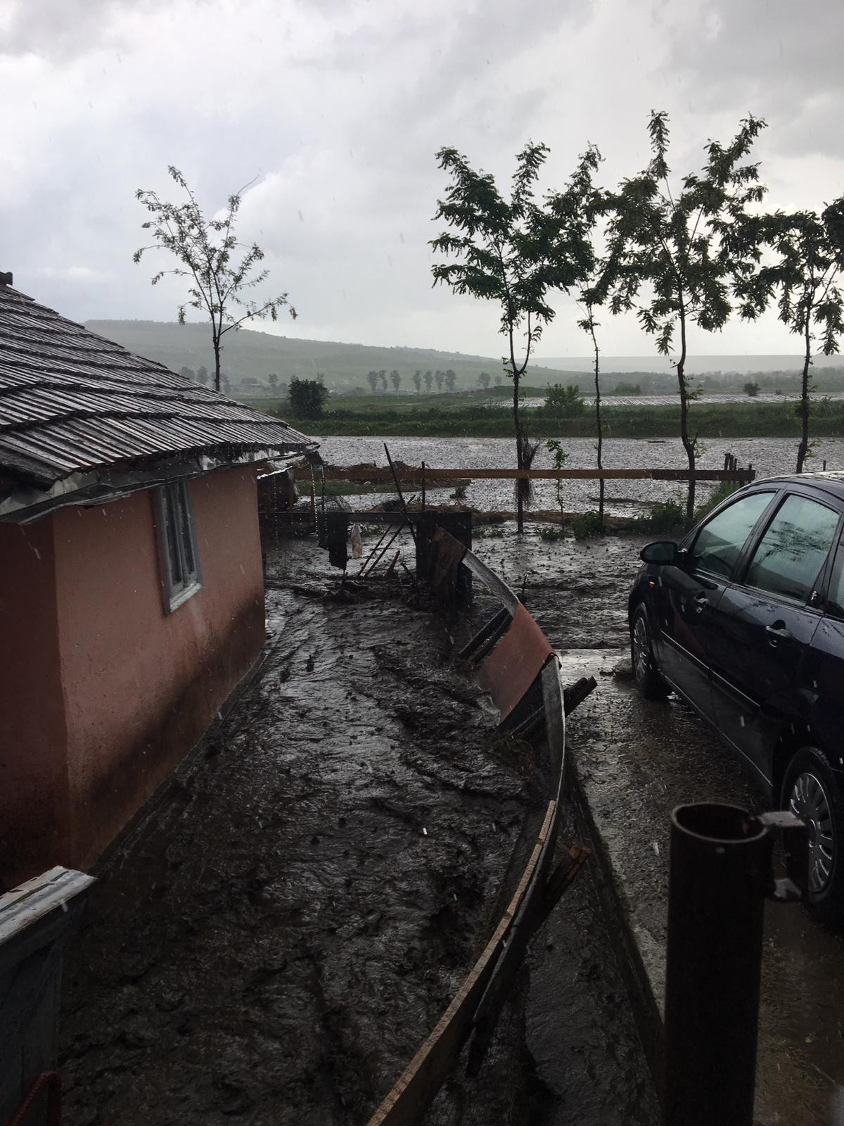 furtuni &icirc;n țară