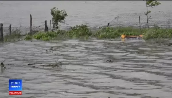 Terenuri agricole distruse și case inundate după ce au furat o țeavă