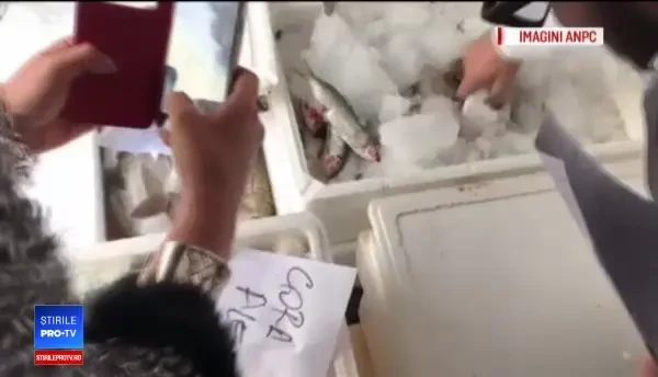 Alerta peștelui stricat. Strategia prin care este scos la vânzare, deși este alterat