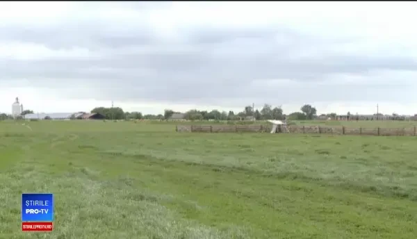 Cum poți evita falimentul într-o afacere de nișă. Sfaturile specialiștilor