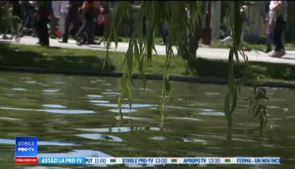 HOROSCOP 26 MAI 2019. Fecioarele întâlnesc o persoană cu care vor forma o relație