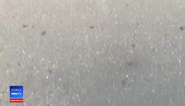 Adresă greșită la o secție de vot din Franța. Românii au fost trimiși de MAE la un hotel