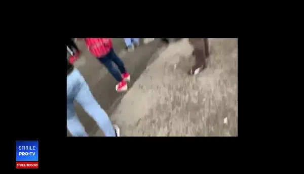 Românii stau la cozi uriașe, la secţiile de votare din străinătate. GALERIE FOTO, VIDEO