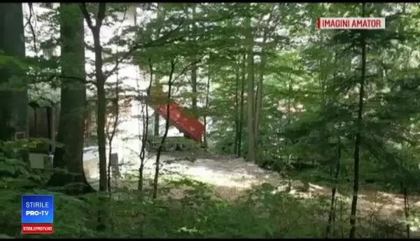 Pârâu umplut cu borduri, în Buşteni. Reacţia autorului: "Nu sunt toxice"