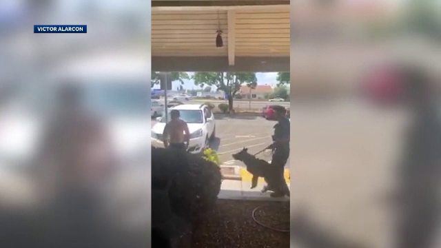 Câine poliţist devenit erou într-un orăşel din California. Cum a fost filmat