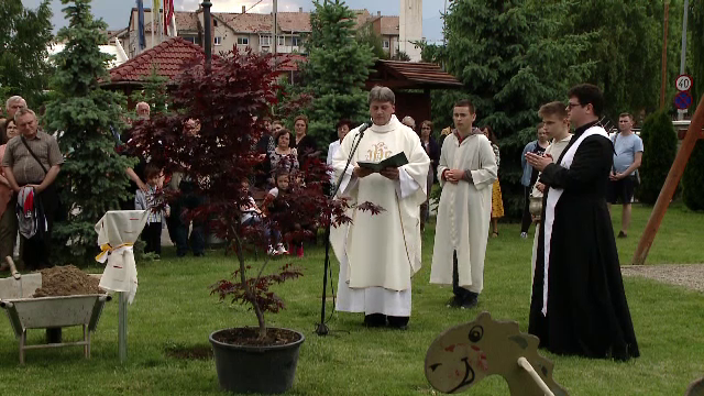 Pădurea din Transilvania creată special pentru Papa Francisc. "Darul Verde"