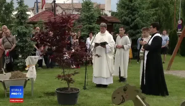 Pădurea din Transilvania creată special pentru Papa Francisc. "Darul Verde"