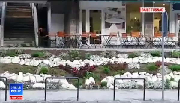 Întâlniri periculoase cu urșii. Un bărbat a rămas fără un picior, în Curtea de Argeș