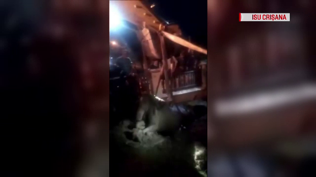 Momentul în care un cal este scos cu macaraua din fântână. VIDEO