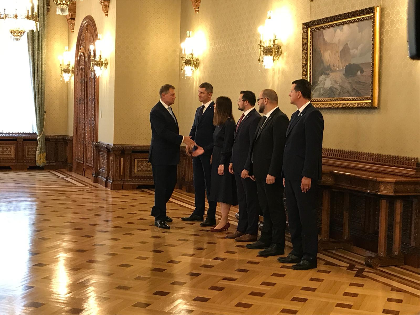 Consultari la Cotroceni, USR, Klaus Iohannis