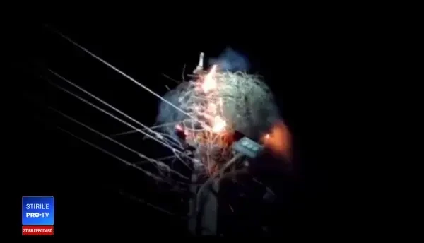 Cuiburile de berze, lovite de trăsnete. Cum şi-a protejat o barză puii de flăcări