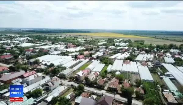 Experiment Inspectorul PRO. Cum ajungem să mâncăm legume și fructe cu pesticide