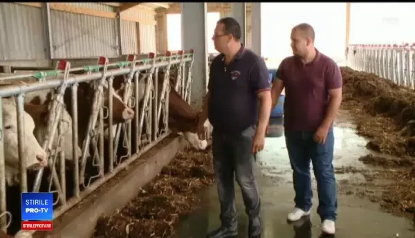 Afacerile de familie din agricultură, modernizate de copii cu noile tehnologii