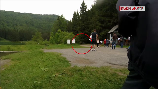 Momente de groază la lacul Sfânta Ana: o ursoaică s-a năpustit asupra unei turiste din Ungaria