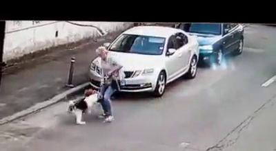 VIDEO. Câine atacat de un Amstaff lăsat liber. Cinci oameni s-au luptat cu animalul