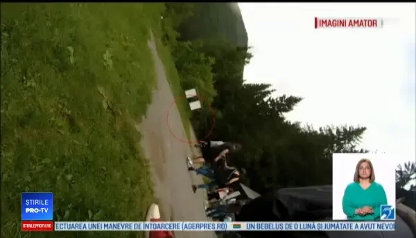 Momente de groază la lacul Sfânta Ana: o ursoaică s-a năpustit asupra unei turiste