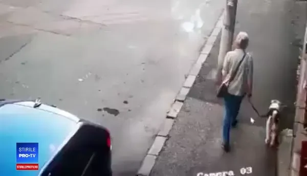 Momentul în care un Amstaff extrem de agresiv atacă un alt câine pe o stradă din Capitală