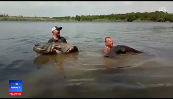 Competiții de pescuit sportiv în jurul Capitalei. Premiul I poate ajunge la 10.000 de euro