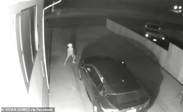 Camerele de supraveghere l-au surprins în faţa casei. Femeia nu ştie ce apare în imagini