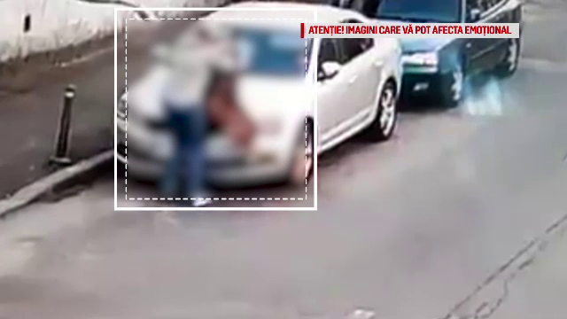 Cine e stăpânul Amstaff-ului care a atacat un câine în Capitală. Ce le-a spus polițiștilor