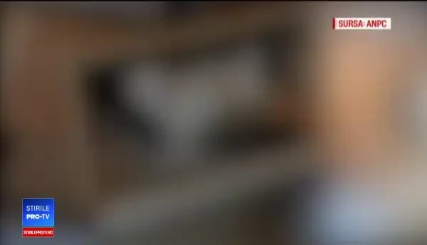 Cum ajungem să consumăm pește contaminat cu metale grele, pe care alte țări îl refuză