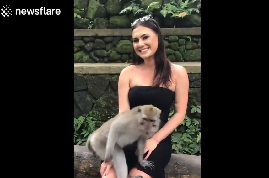 A fost ”umilită”, după ce a făcut o poză cu o maimuță. Părinții ei au văzut totul. VIDEO