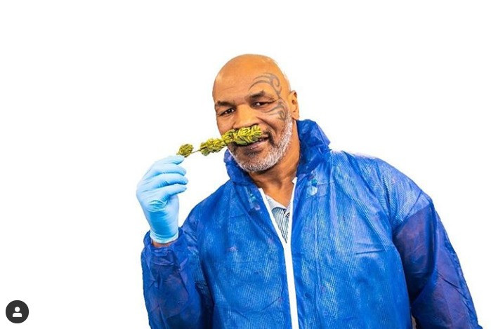 Cum arată plantația de marijuana a lui Mike Tyson. „M-am gândit cât bine pot face”. FOTO