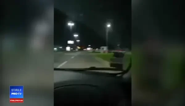 Orașul Belgrad a fost invadat de mistreți din cauza inundațiilor. Explicația fenomenului