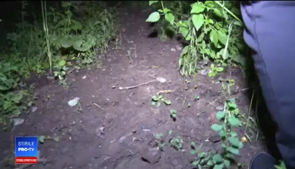 A decis să meargă spre casă pe o scurtătură prin pădure. Ce s-a întâmplat cu bărbatul