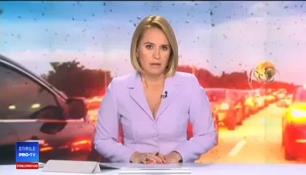 Un autocamion încărcat cu 130 de milioane de albine s-a răsturnat