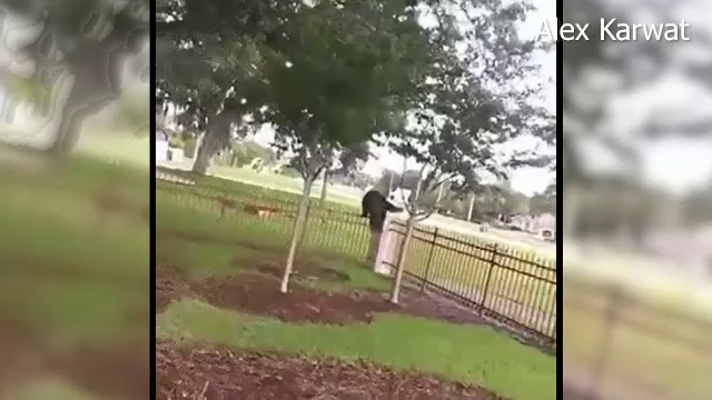 Fiara care dă târcoale unui orășel din Florida: "E uimitor cât de repede se mișcă"