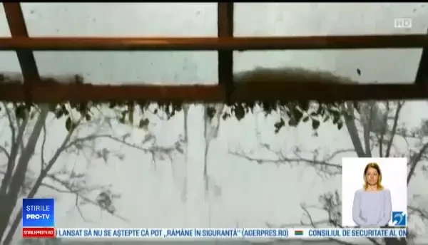 Vremea a luat-o razna pe planetă: bombardamente cu grindină, caniculă și invazie de lăcuste