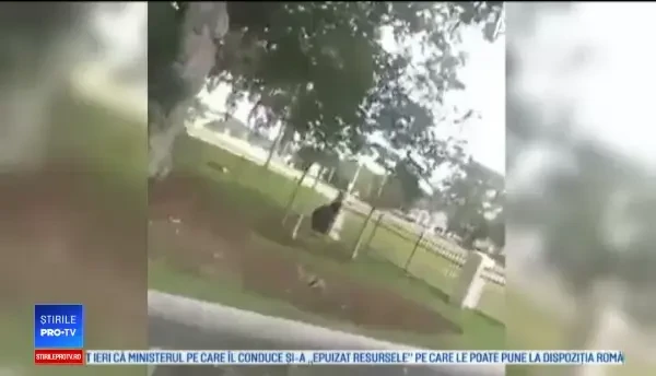 Fiara care dă târcoale unui orășel din Florida: "E uimitor cât de repede se mișcă"