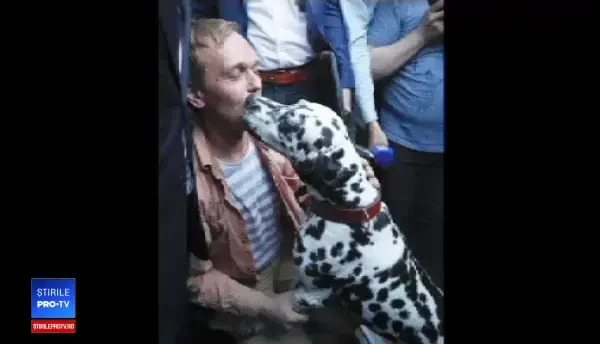 Putin a demis doi generali de poliţie. Motivul pentru care au fost pedepsiți