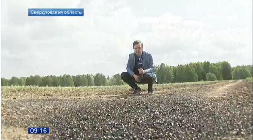 Invazia cu care se luptă un sat din Rusia. Oamenii sunt îngrijorați pentru sănătatea lor