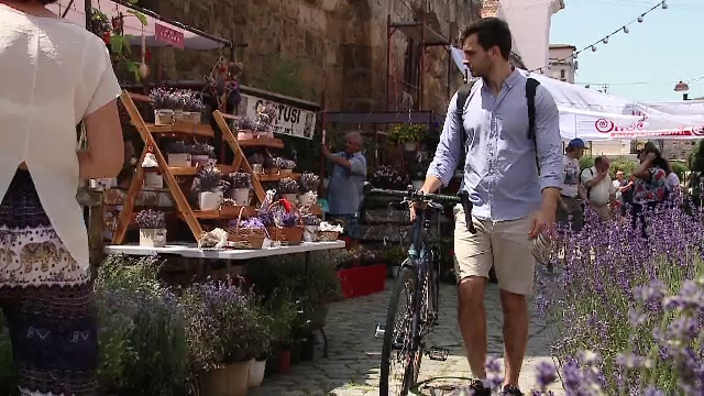 O stradă din Cluj-Napoca, transformată într-un colț de rai. „E o muncă de care ne bucurăm”