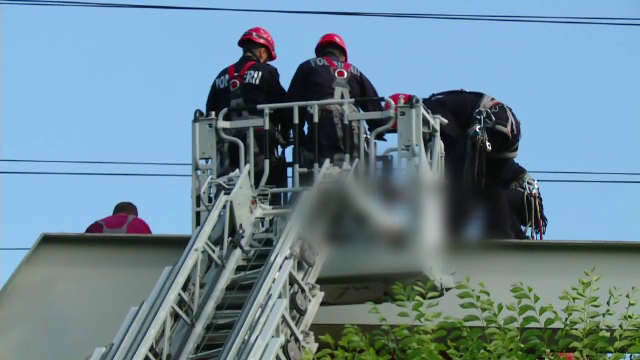 Arsuri pe 60% din corp pentru un selfie. Tânărul electrocutat în Herăstrău, transferat în Belgia