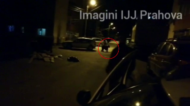 Tot mai mulți urși în Prahova. Nouă animale au fost surprinse în 24 de ore